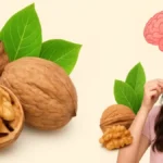 लड़की अखरोट (Walnuts) खाते हुए, साथ में दिमाग़ की तस्वीर और अखरोट के फायदे हिंदी टेक्स्ट में दिखाए गए हैं।