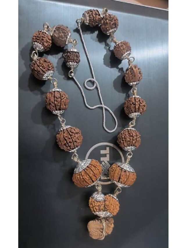 सावन में रुद्राक्ष पहनने के नियम | Rudraksha Rules in Sawan 2025