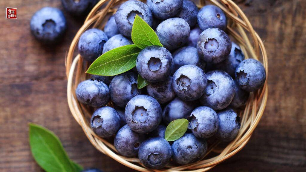 Blueberries – A Powerhouse of Antioxidants