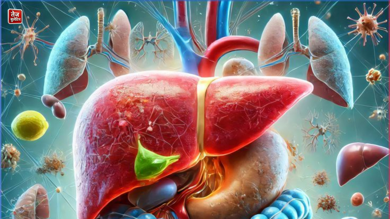 Liver and Kidney Detox